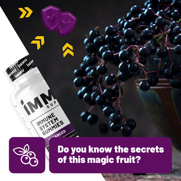Do you know the secrets of the magic fruit? Elderberries - an immune system booster is hard to ignore